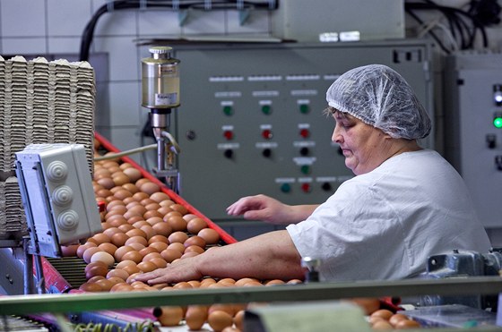 Na farmě v Ratíškovicích produkují vejce od slepic chovaných v nových...