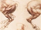 Leonardo da Vinci: studie k fresce Bitva u Anghiari