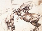 Leonardo da Vinci: studie k fresce Bitva u Anghiari