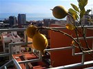 Na terase typokojového bytu Zdeka a Radky na pedmstí Barcelony - je libo