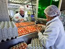 Na farm v Ratíkovicích produkují vejce od slepic  chovaných v nových tzv....