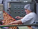 Na farm v Ratíkovicích produkují vejce od slepic chovaných v nových...