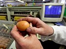 Na farm v Ratíkovicích produkují vejce od slepic chovaných v nových tzv....