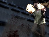 Max Payne 3