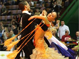 Mistrovství eské republiky v kombinaci deseti tanc, které se o víkendu poprvé...