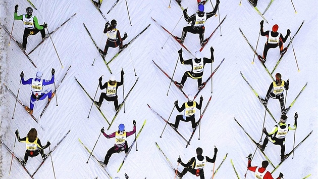 Z pta�ího pohledu p�sobí sna�iví závodníci b�ka�ského maratonu ve �výcarském...