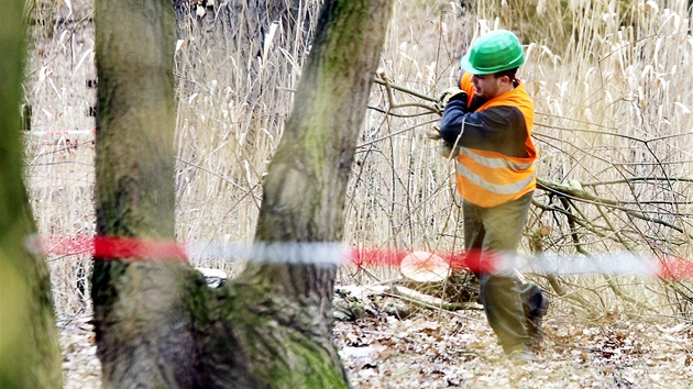 Laviky v Tyrových sadech mají stát 60 tisíc, odpadkové koe sedm tisíc korun.