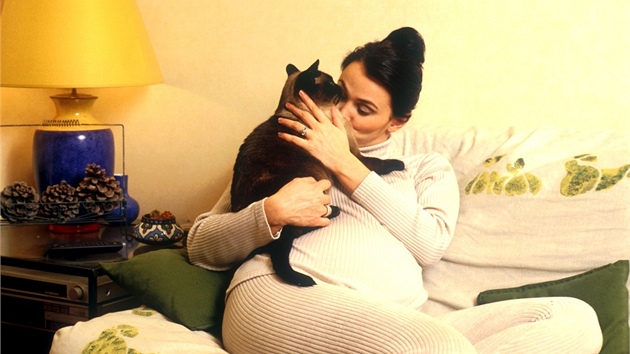 Po otěhotnění je nákaza toxoplazmou nebezpečná pro plod. Nehrozí ale od dospělé kočky, kterou chováte doma a nedáváte jí syrové maso.