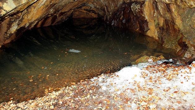 Jeskyn Salka u Pasenice na Domalicku,