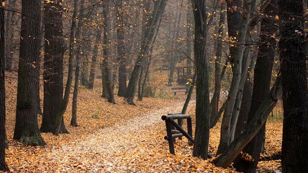 V Kunratickém lese jsou pro výletníky připravené lavičky i odpočinkové altány.