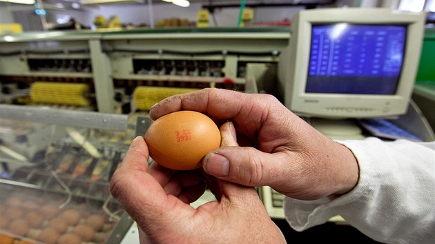 Na farmě v Ratíškovicích produkují vejce od slepic chovaných v nových tzv. obohacených klecích, voliérách i na podestýlce. (16. března 2012, Ratíškovice)
