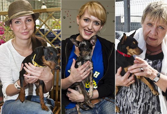 Veronika Nová, Milue Bittnerová a Jaroslava Obermaierová se svými psy. 