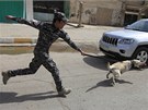 Irácký voják si hraje se svým psem. Bagdád kvli summitu Ligy arabských stát