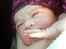 Malá Barunka se narodila v aut narychlo odstaveném u erpací stanice na Jiní...