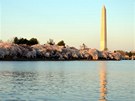 Washingtonv památník