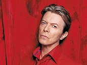 David Bowie