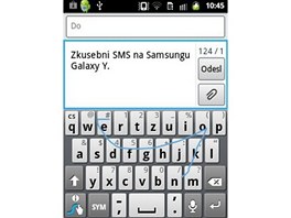 Samsung Galax Y (obrzek systmu)