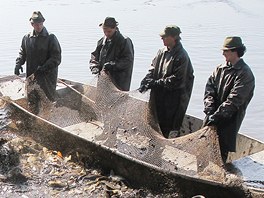 Sloveno, hlásí tebotí rybái. 21.3.2012  zakonili jarní výlovy na rybníku...