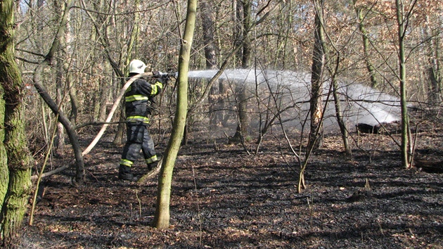 Odhozený cigaretový nedopalek zřejmě způsobil požár lesa v brněnských Řečkovicích.
