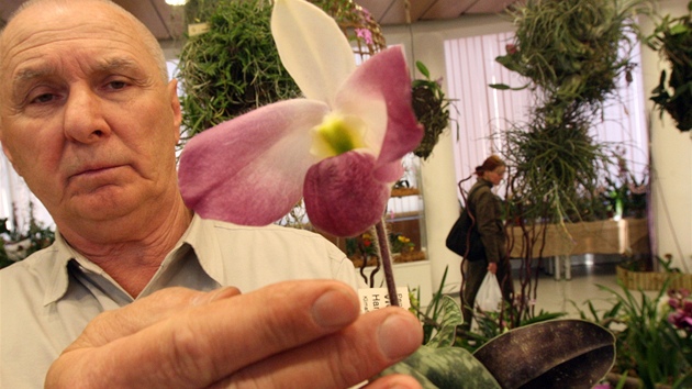Karel Willinger ped lety kvli orchidejím urazil pky ve Venezuele 300...