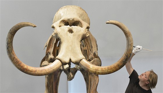 Pedstava obího mamuta dostala na Krét trhliny. Ilustraní foto