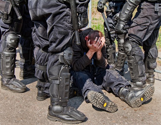 Policisté museli krotit desítky fanouk (ilustraní foto).