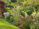 Nií kee a trvalky zahradu vytvoí v zahrad nádhernou kulisu pro potchu