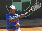 POZORNÝ POHLED. Franocuzský tenista Jo-Wilfried Tsonga bojuje bhem tvrtfinále