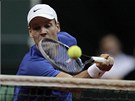 VOLEJ NA SÍTI. eský tenista Tomá Berdych se snaí o vítzný úder na síti.