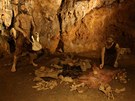 V Mladečských jeskyních je zatím k vidění ochutnávka toho, co návštěvníky čeká
