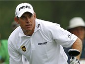 Lee Westwood sleduje svj pokus na osmnct jamce. Po prvnm kole se usadil v