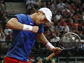 ANO! esk tenista Tom Berdych se raduje z vtznho setu.