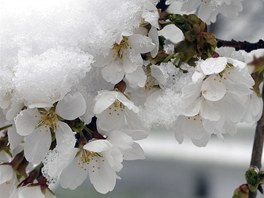 Ilustra�ní snímek