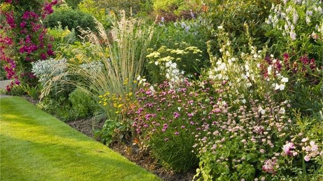 Nií kee a trvalky zahradu vytvoí v zahrad nádhernou kulisu pro potchu