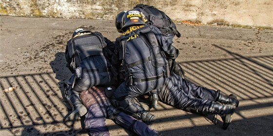 Chuligány po napadení policisty v civilu zadreli lenové poádkové jednotky. Ilustraní snímek)