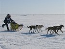 Iditarod: spousta romantiky, ale velmi drsné