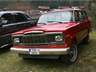 Tenhle krásný a unikátní Jeep Wagoneer z roku 1980 dostal cenu Nejlepí Jeep.