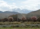 Sady v údolí eky Dobandaj v afghánském Lógaru