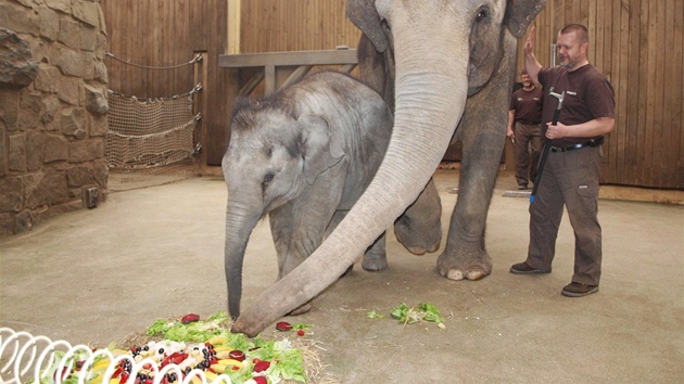 Rashmi si na narozeninovém dortu pochutnala, pomohla i matka Johti. (14. dubna