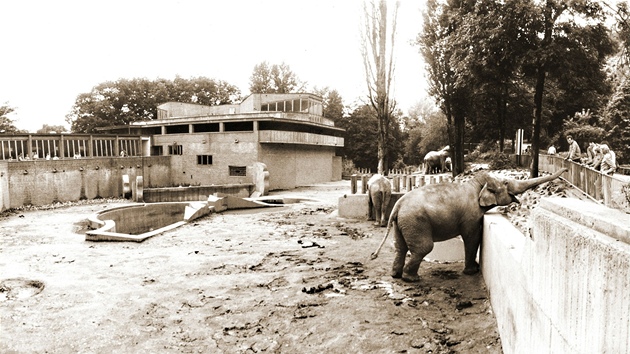 Pavilon velkch savc v roce 1978.