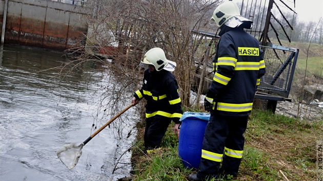 Hasii odstraují následky nehody, pi které na pejezdu u Bohdíkova na