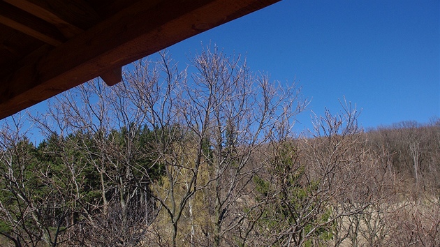 Bystřice pod Lopeníkem, výhled z ochozu věže