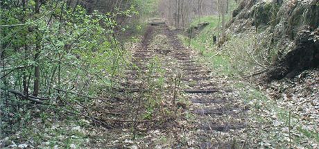Pohled na místo na elezniní trati z Lokte do Horního Slavkova, kde zlodji...