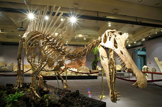 Spinosaurus je povaován za nejvtího dravého dinosaura. Charakterizují jej a dvoumetrové trny na hbet.