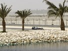 MEZI PALMAMI. Zkuený Michael Schumacher vjídí na poutním bahrajnském okruhu