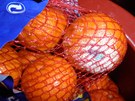 Plesnivé mandarinky v beneovském Penny Marketu.