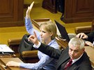 Lenka Andrýsová a Milan ovíek hlasují proti poslancm VV pi jednání