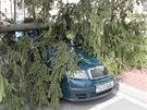 Silný vítr shodil strom na policejní vozidlo zaparkované v Moravské ulici v...