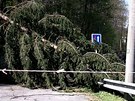 Hasii odstraovali spadané stromy v Olomouckém kraji od sobotního rána. (29....