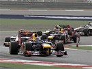 LÍDR. Sebastian Vettel v ele bahrajnského závodu.